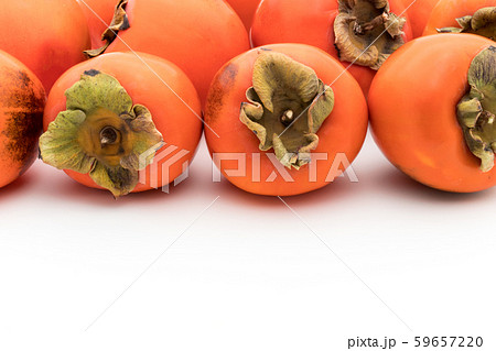 柿(品種:蜂屋):Persimmon (cv. Hachiya) 柿(品種:蜂屋):Persimmon (cv. Hachiya) 59657220