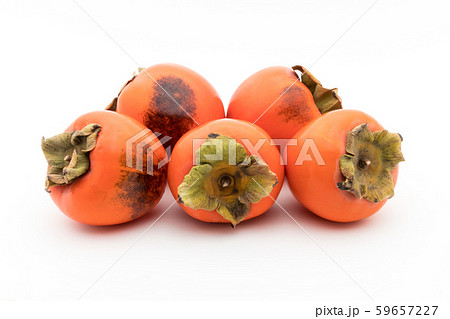 柿（品種：蜂屋）：Persimmon (cv. Hachiya) 59657227