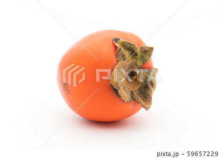 柿（品種：蜂屋）：Persimmon (cv. Hachiya) 59657229