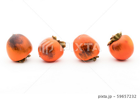 柿(品種:蜂屋):Persimmon (cv. Hachiya) 柿(品種:蜂屋):Persimmon (cv. Hachiya) 59657232