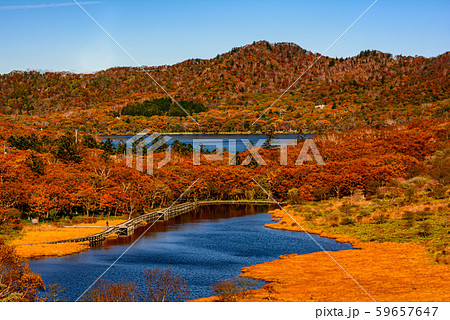 秋の赤城山・鳥居峠【群馬県】 59657647