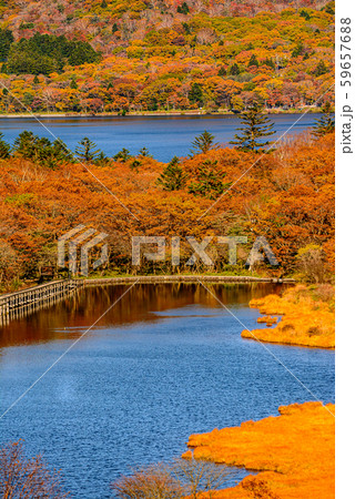 秋の赤城山・鳥居峠【群馬県】 59657688