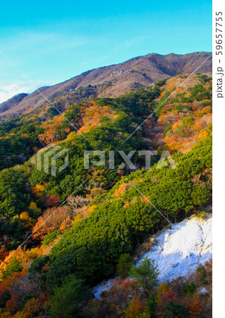 竜ヶ岳 竜ヶ岳 59657755