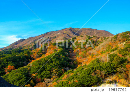 竜ヶ岳 竜ヶ岳 59657762