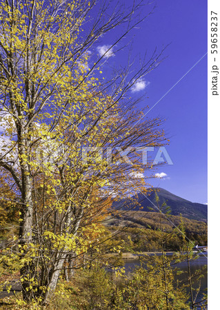 （長野県）蓼科・女神湖の紅葉 59658237