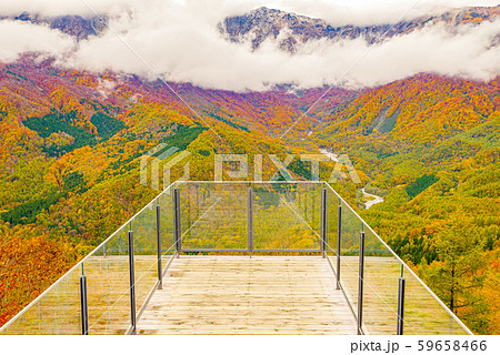 白馬岩岳からの風景【長野県白馬村】 59658466