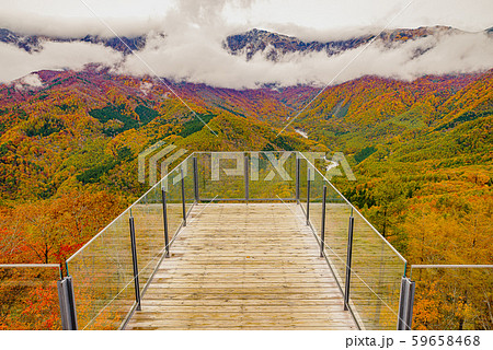 白馬岩岳からの風景【長野県白馬村】 59658468