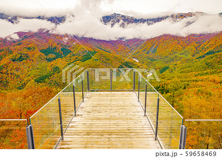 白馬岩岳からの風景【長野県白馬村】 59658469