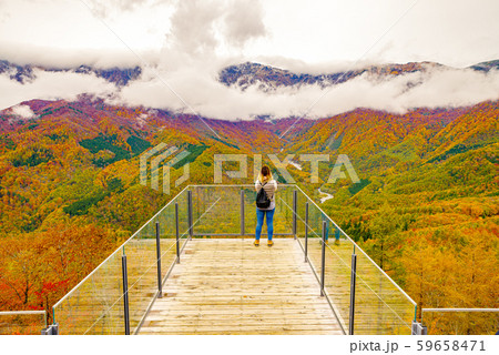 白馬岩岳からの風景【長野県白馬村】 59658471