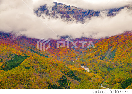 白馬岩岳からの風景【長野県白馬村】 59658472