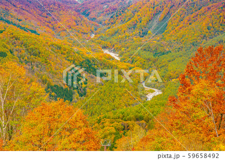 白馬岩岳からの風景【長野県白馬村】 白馬岩岳からの風景【長野県白馬村】 59658492