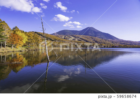 （長野県）蓼科・女神湖　湖畔の紅葉 59658674
