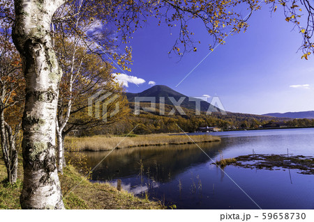 長野県 蓼科 女神湖 湖畔の紅葉の写真素材