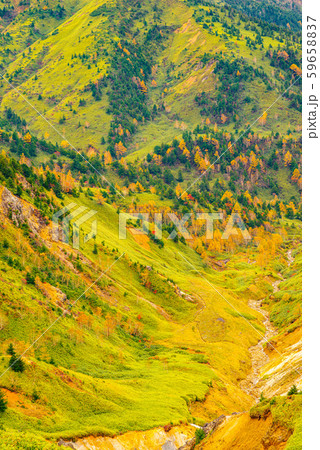 志賀高原の紅葉【長野県】 志賀高原の紅葉【長野県】 59658837