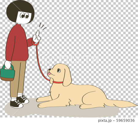 犬のしつけ・ふせ（ゴールデンレトリバー） 59659036