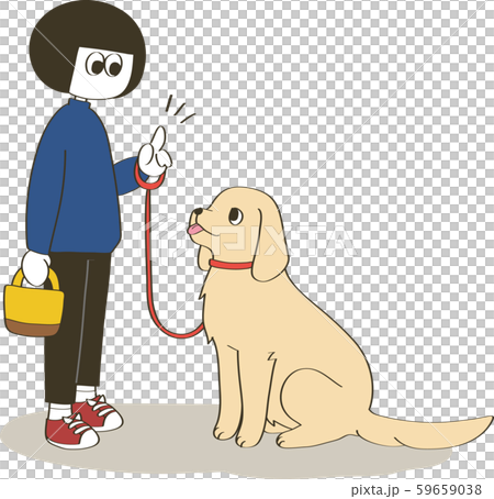 犬のしつけ おすわり ゴールデンレトリバー のイラスト素材