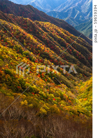 《栃木県》秋の日光・半月山の紅葉 59659394