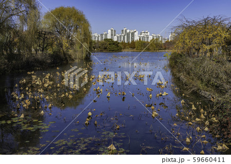 湖 冬 アパート 59660411