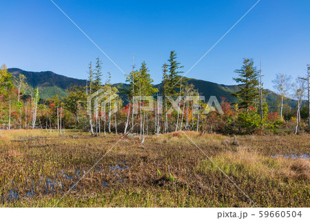 どじょう池の紅葉:一の瀬園地 松本市安曇 どじょう池の紅葉:一の瀬園地 松本市安曇 59660504