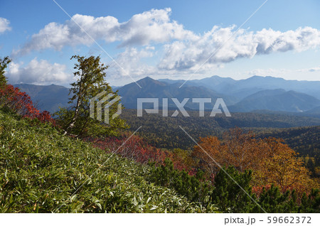 銀泉台の紅葉（北海道・上川町・大雪山系） 59662372