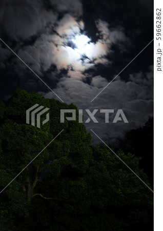 真冬の夜景 59662862