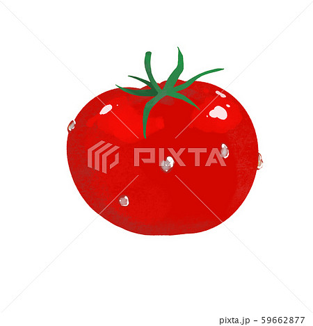 トマトイラストのイラスト素材