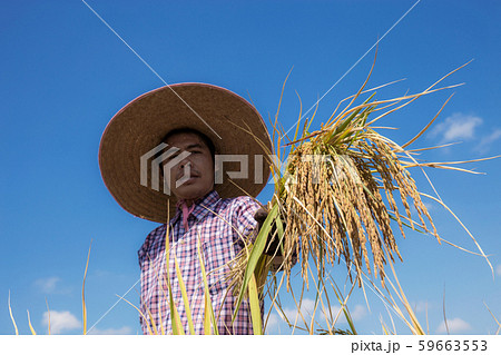 Farmers offered their ears at sky. 59663553