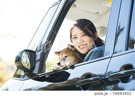 助手席の柴犬と女性 59663602