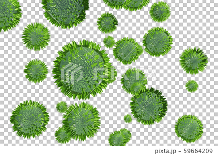 花粉圖像滲透材料（用於花粉熱等） 59664209