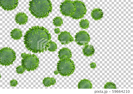 花粉圖像滲透材料（用於花粉熱等） 59664210