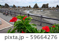 夏の橋杭岩 59664276