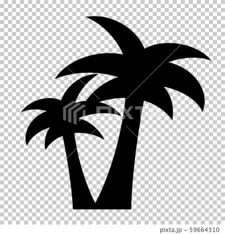 Two Palm Trees PNG Clipart Image​