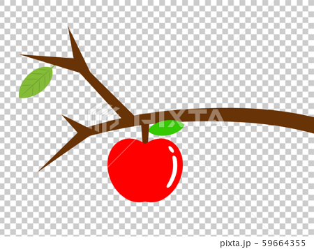 リンゴの実のついた枝のイラスト素材