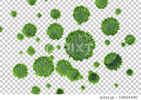 花粉圖像滲透材料（用於花粉熱等） 59664400