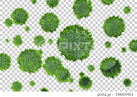 花粉圖像滲透材料(用於花粉熱等) 花粉圖像滲透材料(用於花粉熱等) 59664401