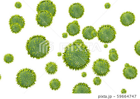 花粉イメージ 透過素材(花粉症などに) 花粉イメージ 透過素材(花粉症などに) 59664747
