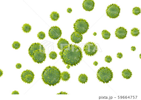 花粉イメージ 透過素材(花粉症などに) 花粉イメージ 透過素材(花粉症などに) 59664757