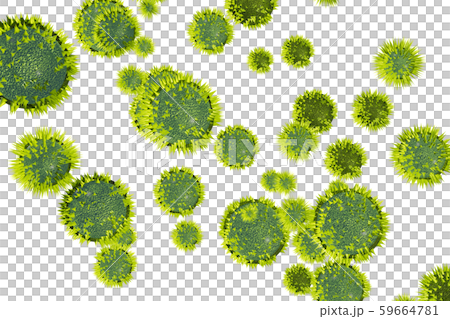 花粉圖像滲透材料（用於花粉熱等） 59664781