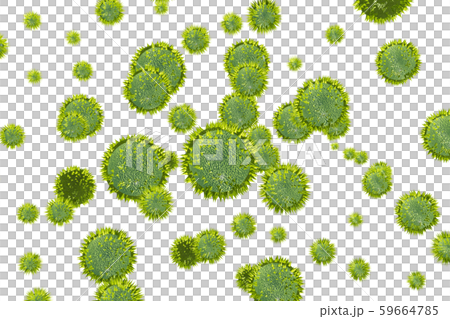 花粉圖像滲透材料(用於花粉熱等) 花粉圖像滲透材料(用於花粉熱等) 59664785