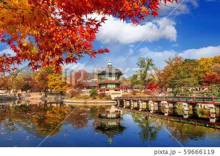Gyeongbokgung Palace in autumn,South Korea. Gyeongbokgung Palace in autumn,South Korea. 59666119