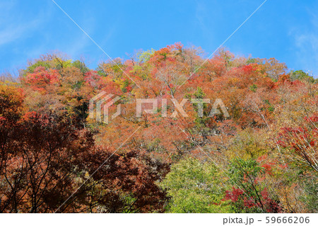 べふ峡 59666206