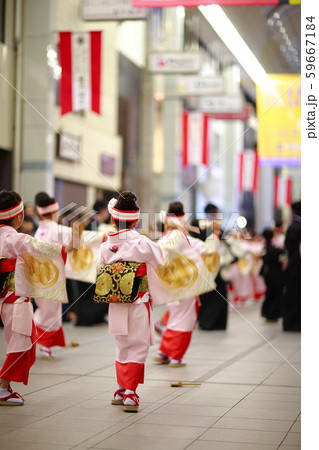 よさこい 59667184