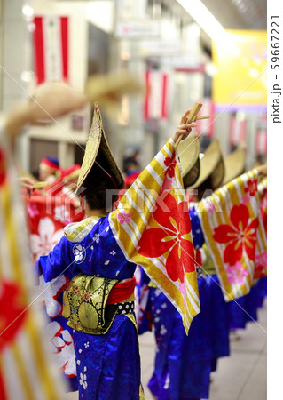 よさこい 59667221