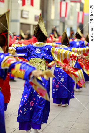 よさこい よさこい 59667229
