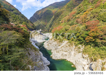 大歩危峡　紅葉 59668466