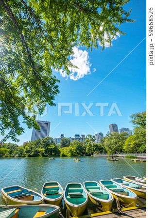 中島公園 新緑 青空 中島公園 新緑 青空 59668526