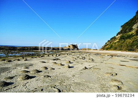 石見畳ヶ浦　ノジュール 59670234