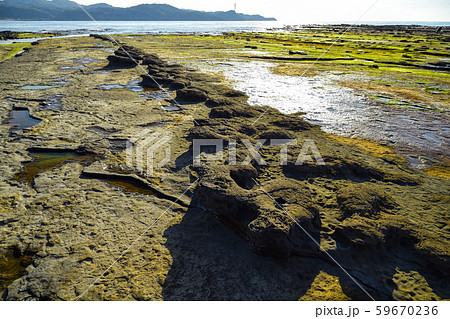 石見畳ヶ浦　　ノジュール 59670236