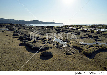 石見畳ヶ浦　ノジュール 59670243