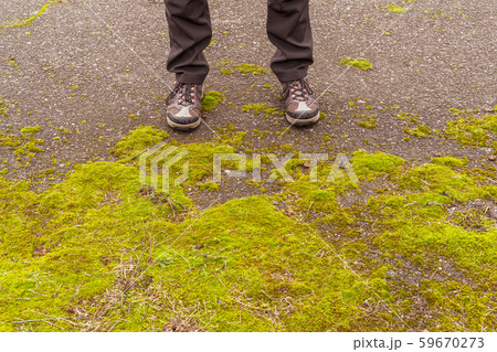 Concept for nature discovering Concept for nature discovering 59670273